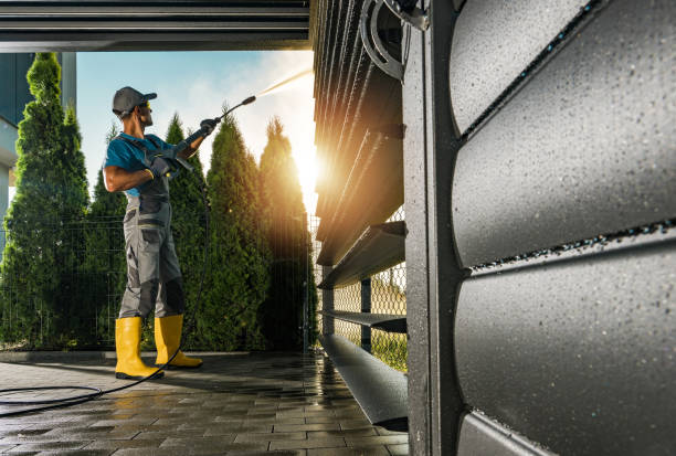 Best Driveway Cleaning and Restoration in Pulaski, WI